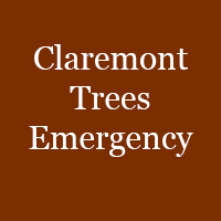 Claremont Trees Emergency