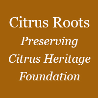 Citrus Roots