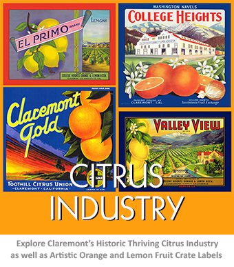Claremont's former expansive citrus industry