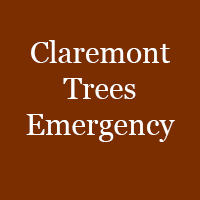 Claremont Trees Emergency